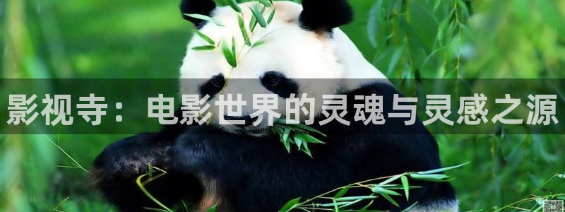 超碰视频在线