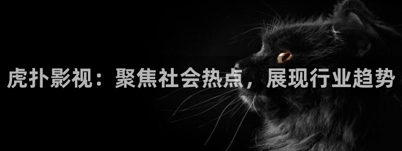 超碰人与动物：虎扑影视：聚焦社会热点，展现行业趋势