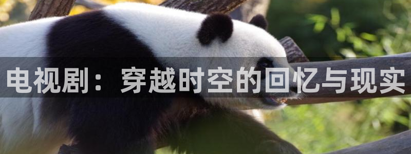 超碰97在线有码：电视剧：穿越时空的回忆与现实