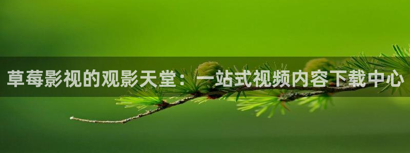 超碰1378net(av在线)：草莓影视的观影天堂：一站式视频内容下载中心