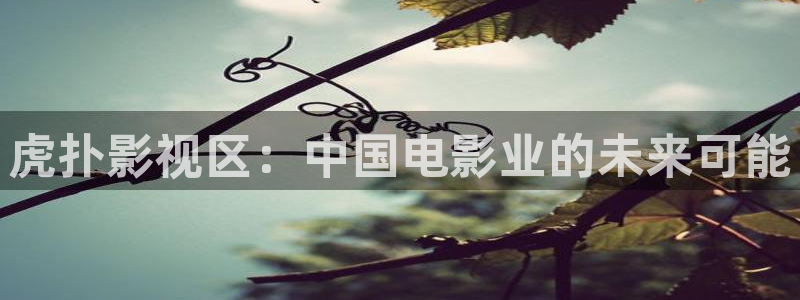 超碰首页97：虎扑影视区：中国电影业的未来可能