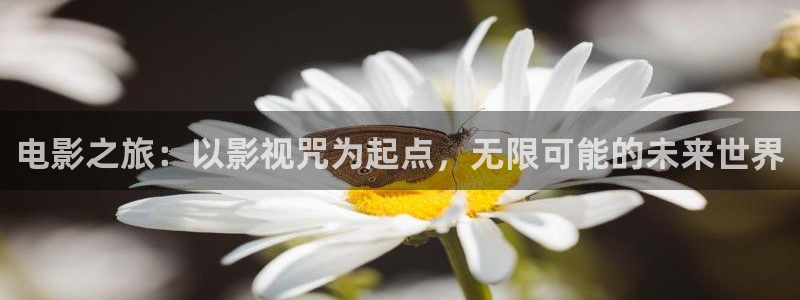 91超碰在线爱：电影之旅：以影视咒为起点，无限可能的未来世界
